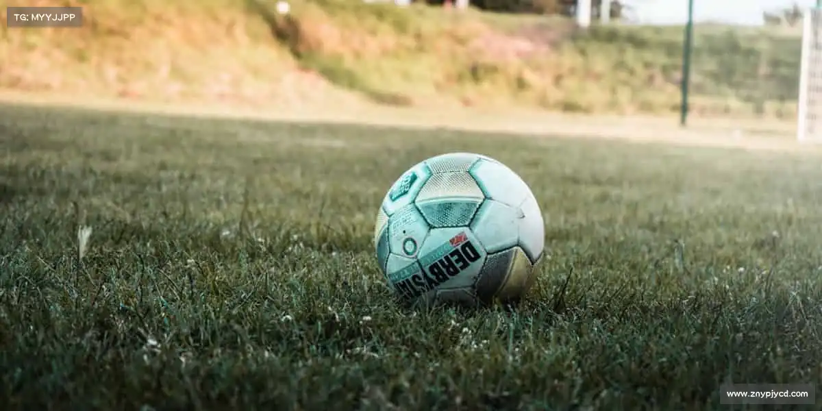 j9九游会真人游戏第一品牌——用拼搏定义,属于你的赛场!⚽